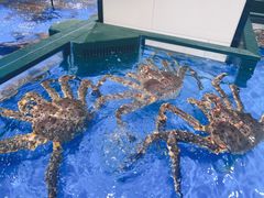 -都市阳光海鲜城(青山湖店)