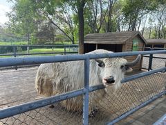 -长白岛森林公园