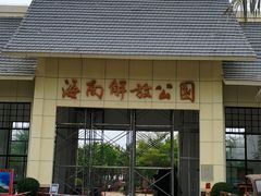 -临高角