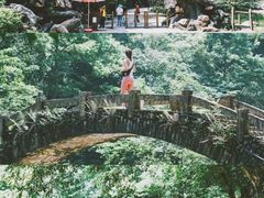 -龙湾潭国家森林公园