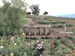 景点-密云玫瑰情园