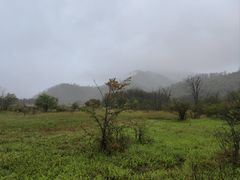 -神农架景区