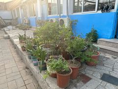 -姥家大锅台水库渔家