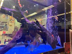 -新辉港式茶餐厅(北栅店)