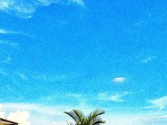 -沸奇公园·情景团建·年会露营烧烤轰趴生日(科技园店)
