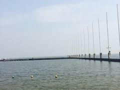 -碧海金沙