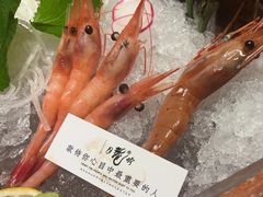 -月龍吟(朝龙汇店)