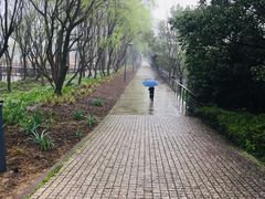 -西湖风景区-江洋畈生态公园