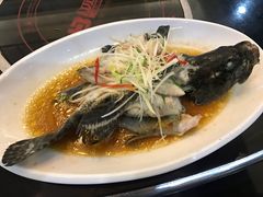 -诏安海鲜馆(新浦店)