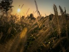 -汉长安城未央宫国家考古遗址公园