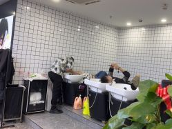 -藤野造型