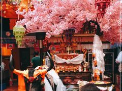 -吉祥圣雪藏餐