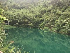 -羚羊峡古栈道森林公园