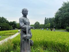 -北坞公园