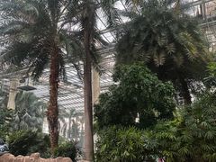 -龙达温泉生态城