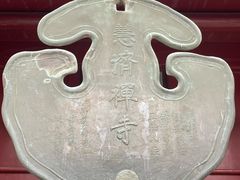 -普陀山风景区-佛顶山