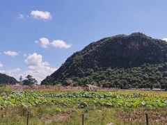 -普者黑风景区-青龙山