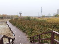 -永定河休闲森林公园