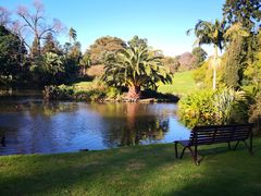 -墨尔本皇家植物园