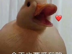 -顺心拉面馆(马道街店)