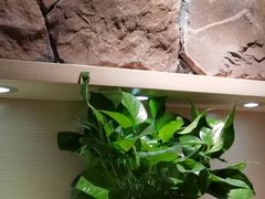-麦子MaiMassage(打浦桥店)
