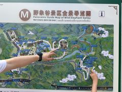 -野象谷景区