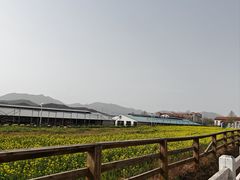 -君乐宝优致牧场