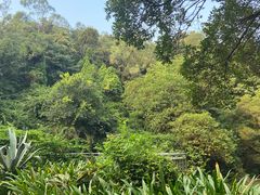 -南国桃园旅游度假区