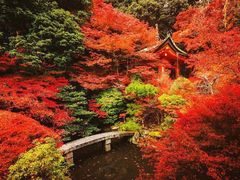 -醍醐寺