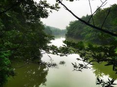 -白马涧龙池景区