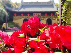 -惠山古镇·寄畅园