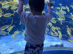 -海合安成都极地海洋公园