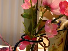 -哈根达斯(武汉天地店)