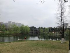 -洋湖国家湿地公园