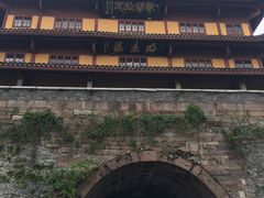 -王阿姨文昌油赞子(府桥街店)