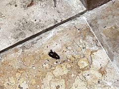 -三亚海棠湾喜来登度假酒店