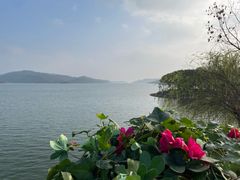-天目湖山水园
