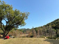 -云溪植物园
