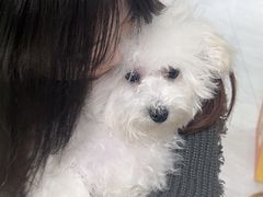 -唐小姐の猫狗洗护·购宠旗舰店(周浦万达店)