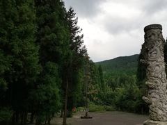 -武陵山森林公园