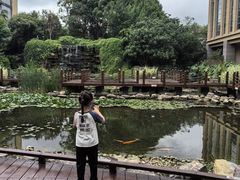 -昆明洲际酒店