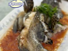 -四川小胡子海鲜(丁村万人海鲜广场店)