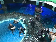 -临沂极地海洋王国