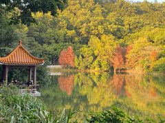 -深圳仙湖植物园