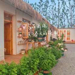 -DORA kids 朵拉儿童摄影花园店