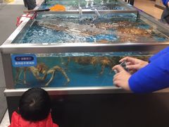 -盒马鲜生(大成店)