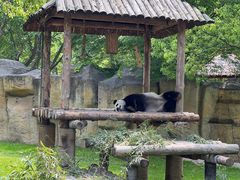 -上海野生动物园