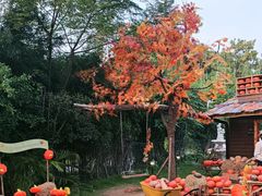 -HERRE·FARM 赫尔露营农场·团建聚会包场