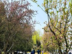 -海棠花溪(元大都城垣遗址公园)
