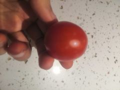 -同庆楼(花园店)